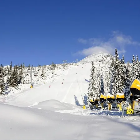 Apartament Palenica Ii