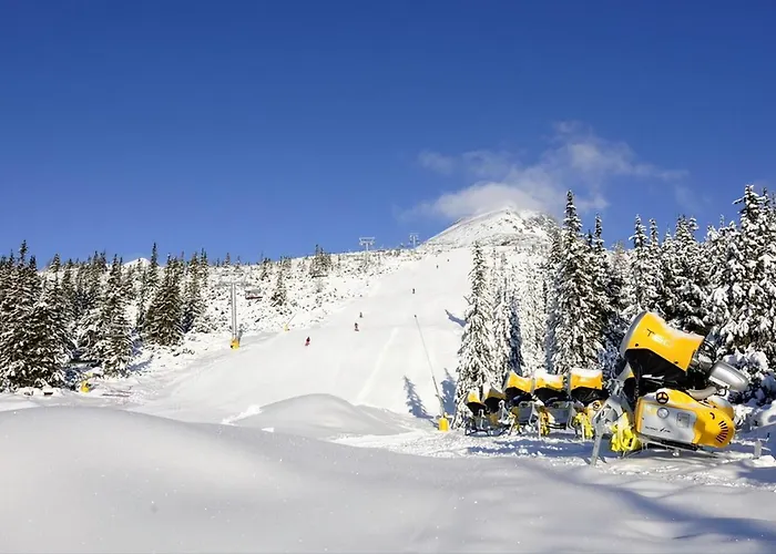 Appartement Palenica Ii